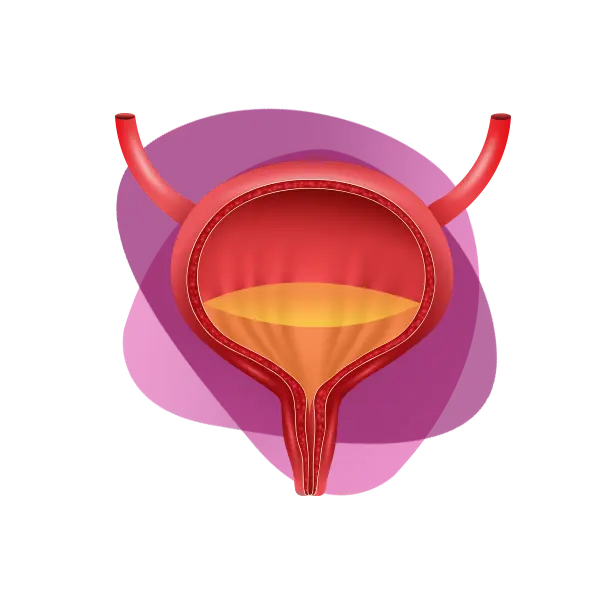 Imagen principal Incontinencia Urinaria Femenina